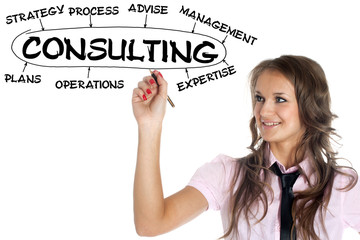 businesswoman drawing plan of consulting