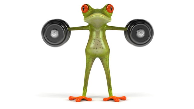 Fun frog