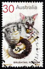 Postage stamp Australia 1974 Common Brushtail Possum