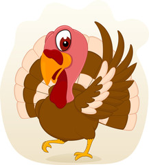 Illustration of turkey vector