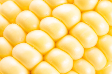 Corn