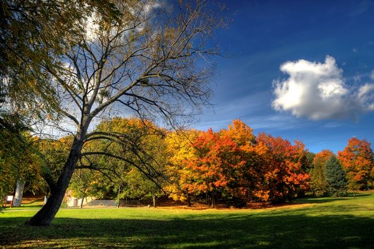 Fototapeta autumn in Poland