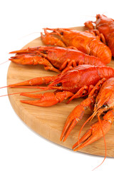 Tasty boiled crayfishes on chopping board isolated on white