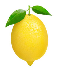 Isolated lemon. One lemon fruit with leaves isolated on white background