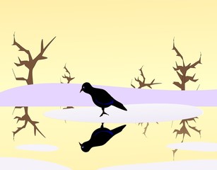 Crow on Ice
