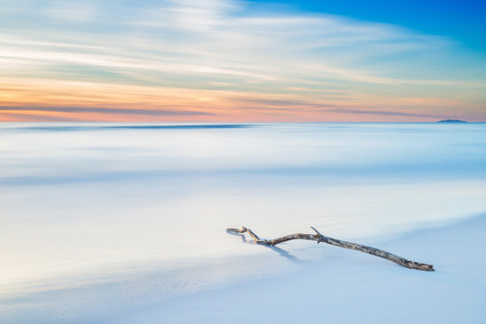 Wood Branch On A White Beach On Twilight Sunset