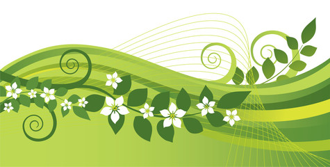 White jasmine flowers and green swirls banner