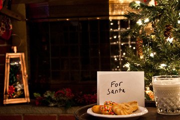 Cookies and Milk for Santa