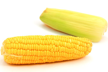 Sweet corn