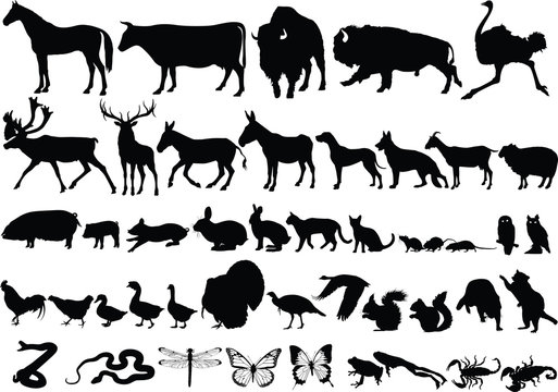 Farm animal silhouette
