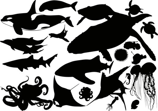 Aquatic animal silhouette collection