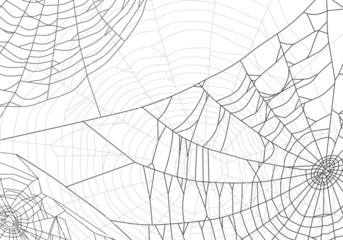 grey spider web background