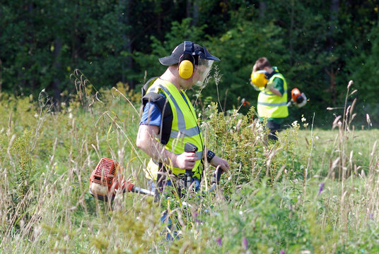 Workers Strimming Grass With Petrol Cutters