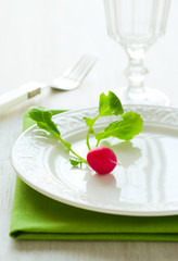 Diet. A little radish on a plate