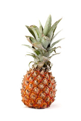 Fototapeta premium ananas