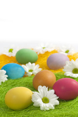 Easter eggs with daisy on abstract green grass