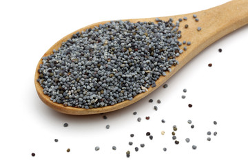 Poppy seed