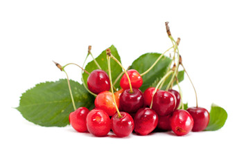 cerises