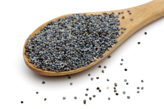 Poppy Seed