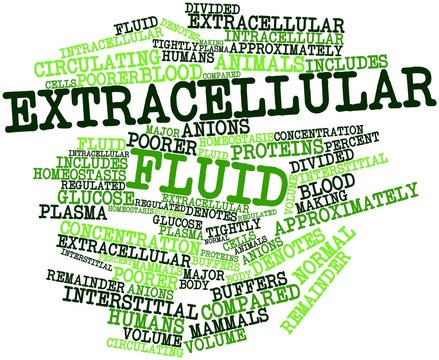 Word cloud for Extracellular fluid