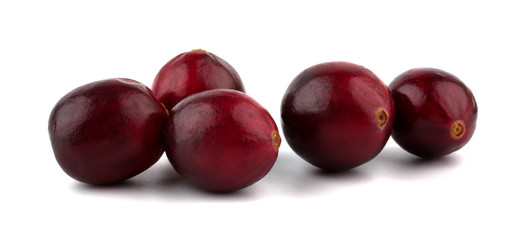 cranberry on white background