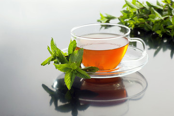 Cup with green tea and fresh mint leaves on grey background