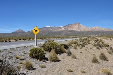 Route du Chili - Traversée de Lamas