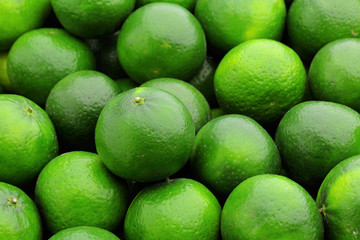lime citrus fruit