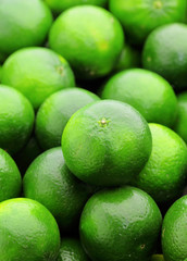 lime citrus fruit