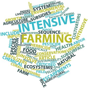 Word cloud for Intensive farming