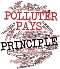Word cloud for Polluter pays principle