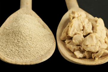 Backzutat Trockenhefe und frische Hefe