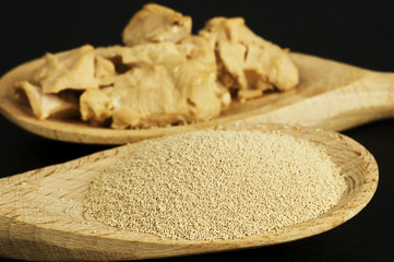 Backzutat Trockenhefe und frische Hefe