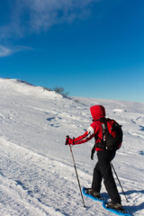 Escursione sulle racchette da neve