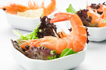 Shrimp Salad