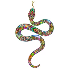 Peel and stick wall murals Draw Snake Psychedelic Art Design-Serpente Psichedelico Arte Grafica