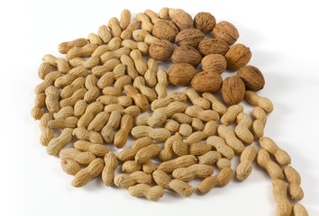 Peanuts and Walnuts