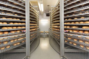 Baked Breads on the production