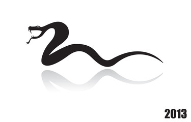 Snake 2013