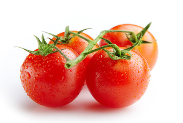 fresh tomatoes