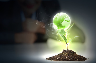 green plant on earth