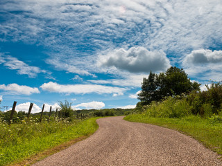 Winding Country Road