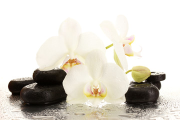 Spa stones and orchid flowers, isolated on white.