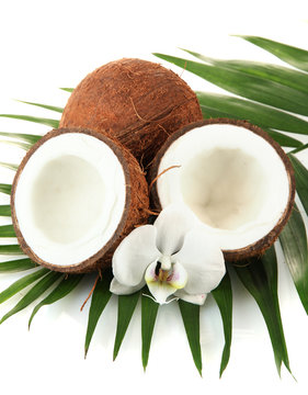 Coconuts with leaves and flower, isolated on white