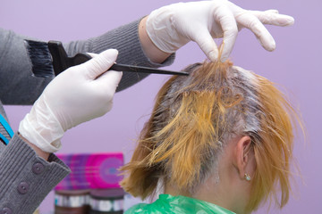 Fototapeta premium Beautician applying hair color to woman at parlor