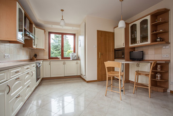 Traditional kitchen