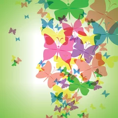 Poster Vlinders Kleurrijke achtergrond met vlinder, EPS10