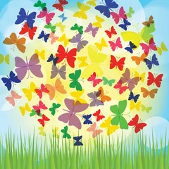 Photo sur Plexiglas Papillon Fond coloré avec papillon. EPS10