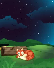 Poster Nachts liegt ein Fuchs neben dem Wald © GraphicsRF