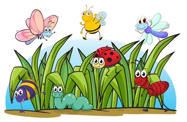 Poster Vlinders Diverse insecten en gras
